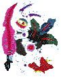 4. Rabbit