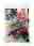 09063116: CHICKEN SKEWER Frozen Ajinomoto TH bag 210G