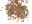 aniseed.jpg