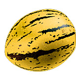 pepino.jpg